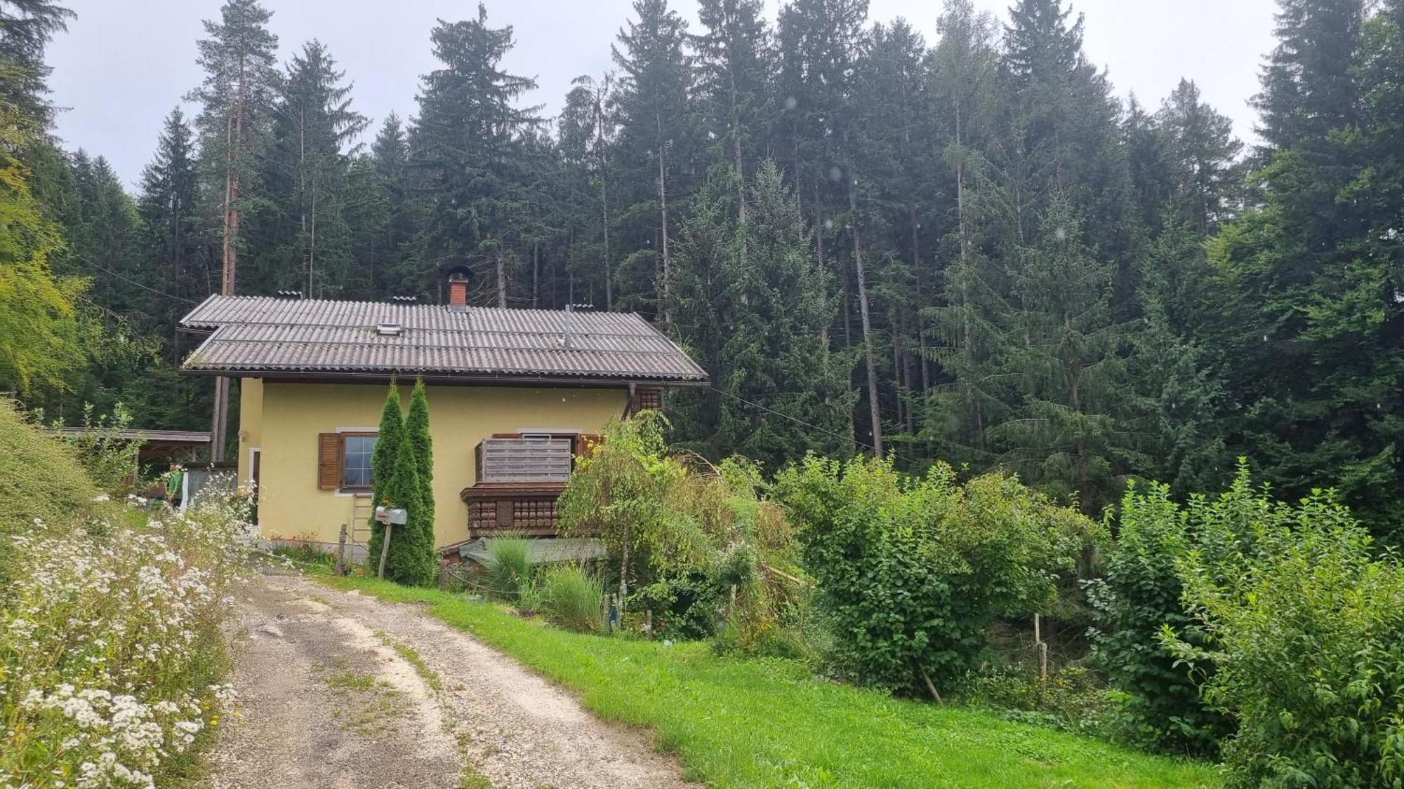 Fridas Place - Der Blick Ueber Ganz Villach - 160 M2 Ferienoase - Ganzes Haus Bis Zu 8 Personen Exteriér fotografie